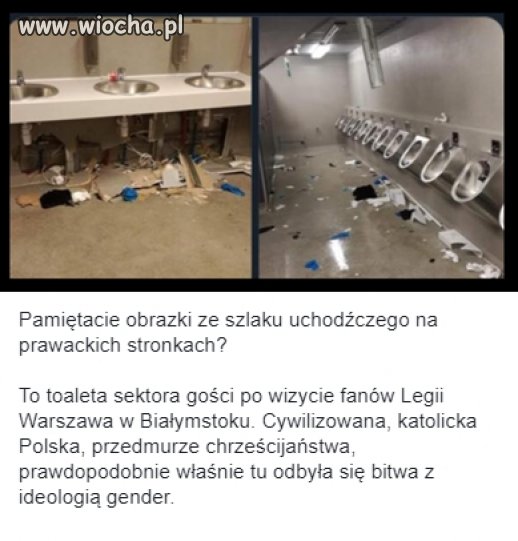 Czyżby walczyli