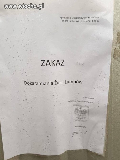 Tymczasem