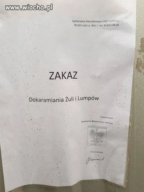 Tymczasem