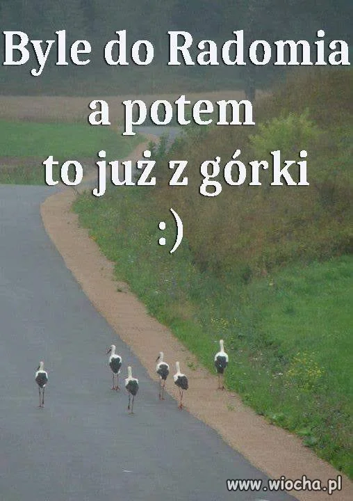 Bliżej