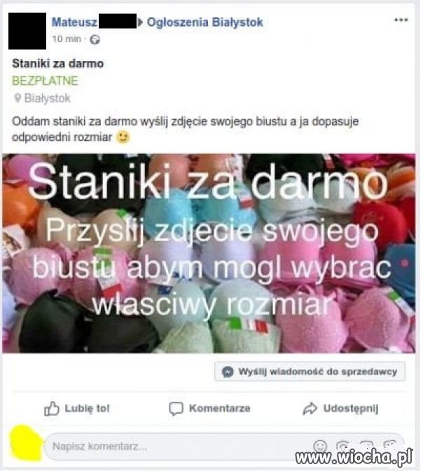 Niezły