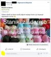 Niezły