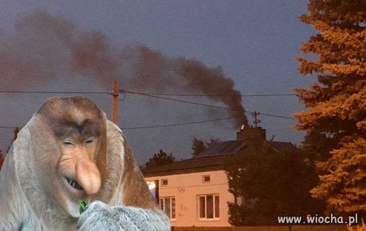 Somsiedzie, najlepszy opał