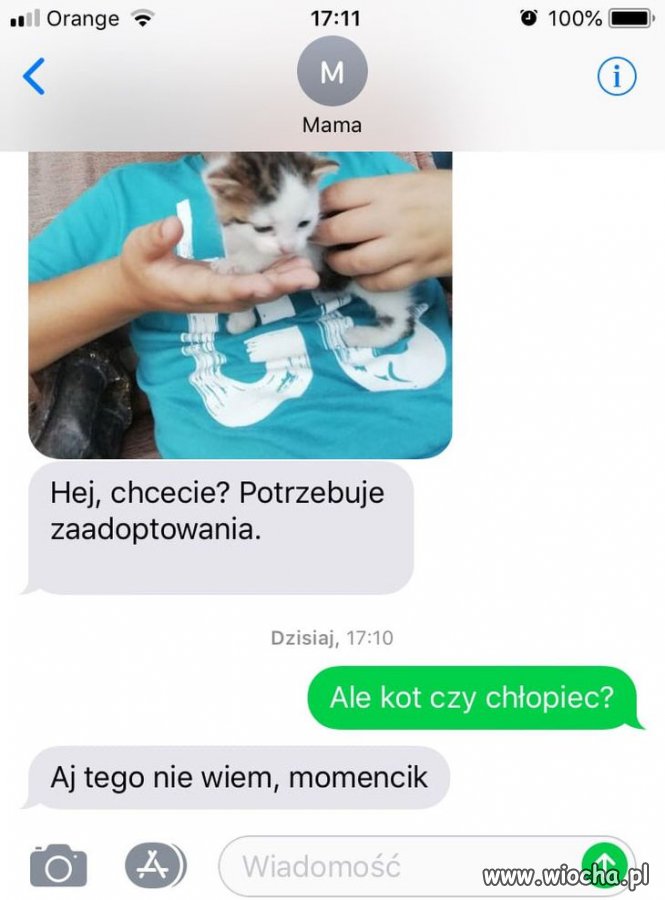Ogłoszenia drobne