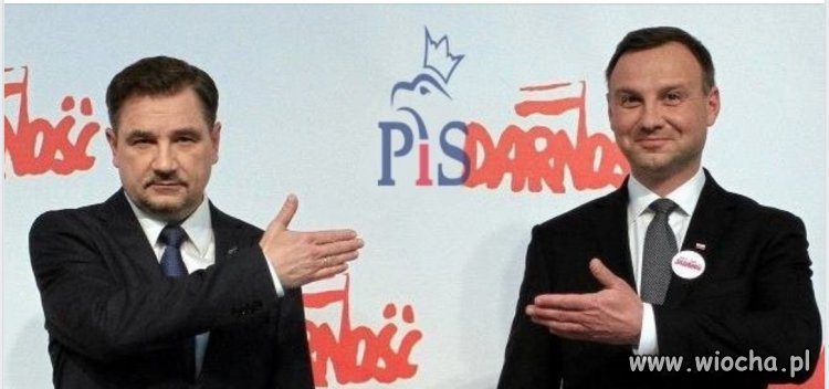 Pisdarność