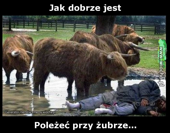 Jak dobrze jest