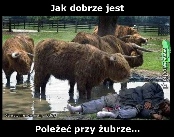 Jak dobrze jest