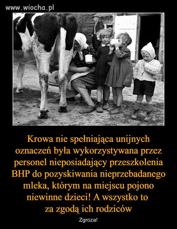 O zgrozo !!!