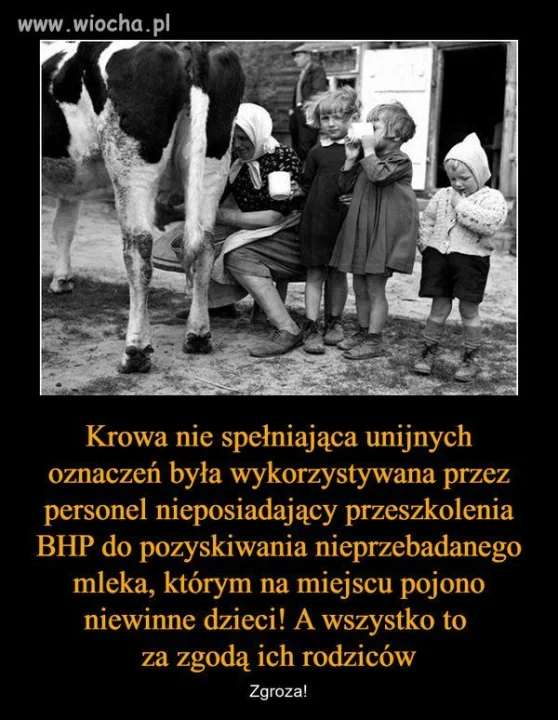 O zgrozo !!!