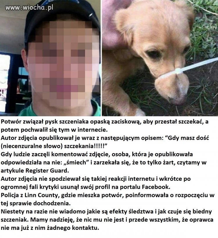 Bo miał dość szczekania