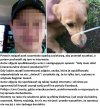 Bo miał dość szczekania