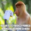 Tymczasem