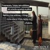 Suski Travel