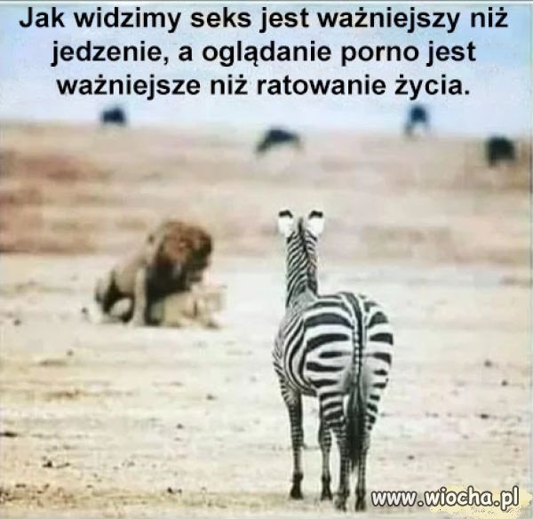 Nic dodać,