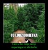 Ludziomiętka