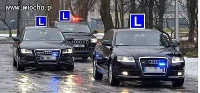 Kolumna rządowa