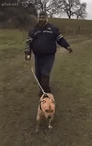 Pies wyprowadził pana na spacer.