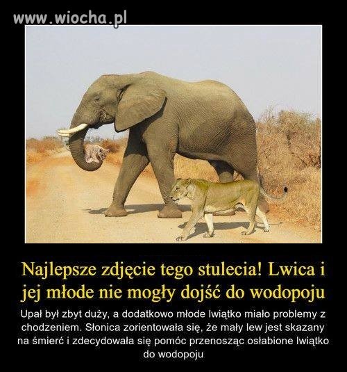 Afryka jest fascynująca