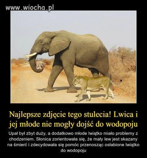 Afryka jest fascynująca
