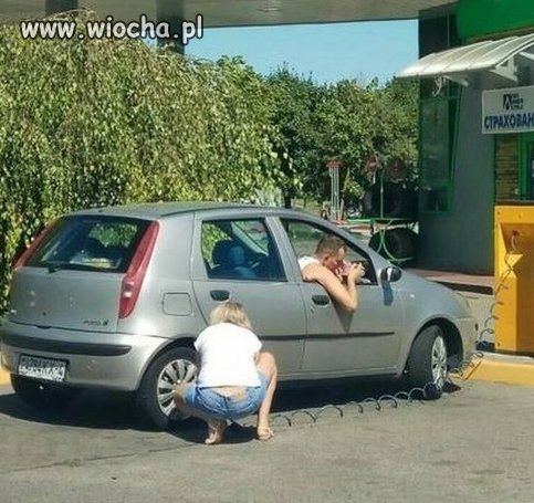 Cysorz to ma klawe życie