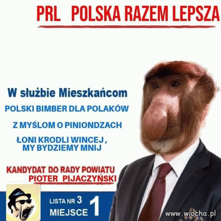 Co myślę o wyborach.