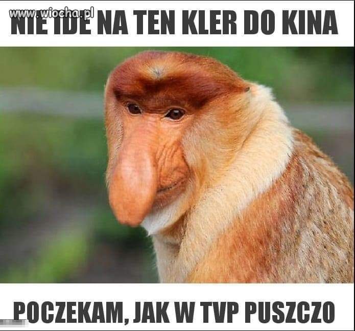 Bez komentarza.