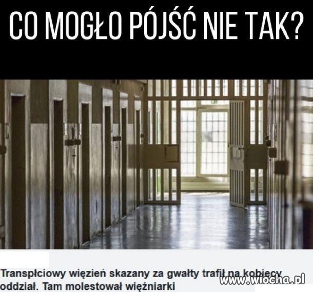 Wyruchałby wszystko co na drzewo nie ucieka.