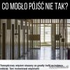 Wyruchałby wszystko co na drzewo nie ucieka.