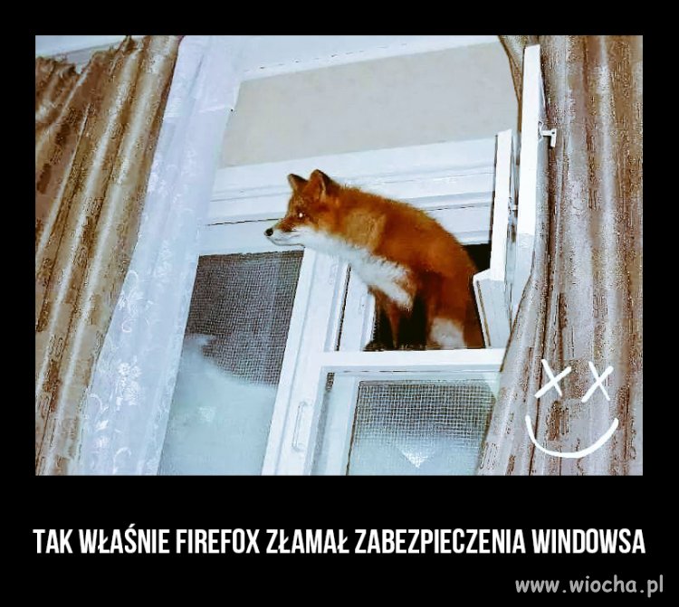 Gratka dla specjalistów IT