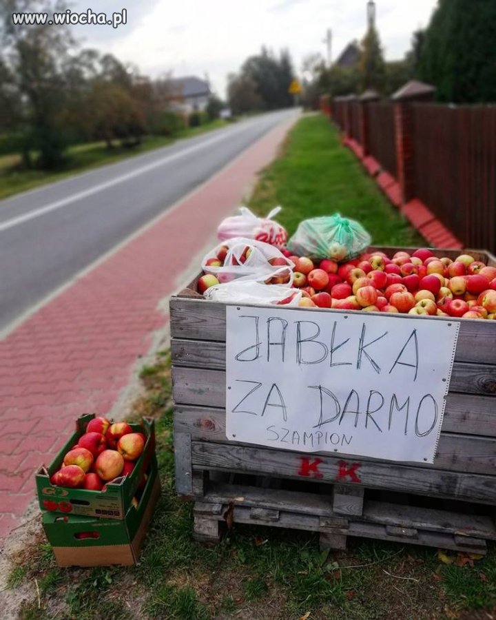 Pan Mirek woli rozdać je przypadkowym ludziom 