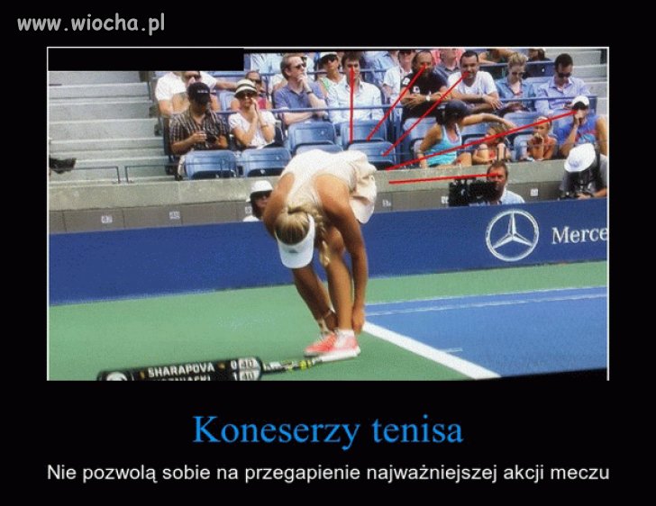 Najwierniejsi kibice