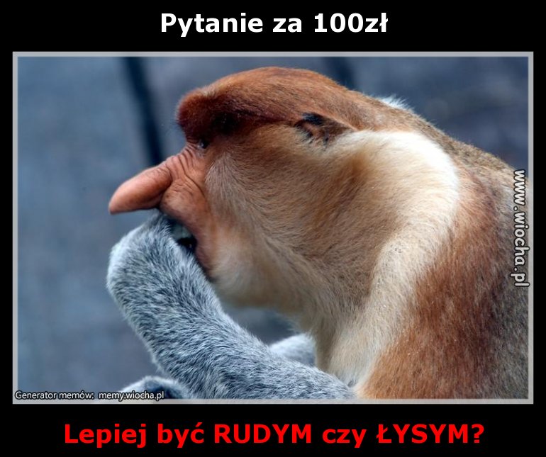 Pytanie za 100zł