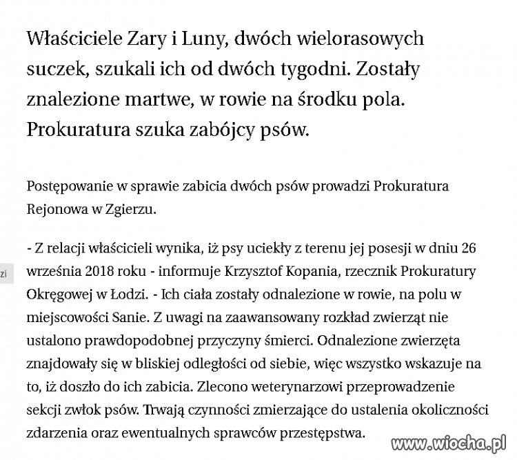 Nagroda 7 tyś