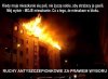 Do tych co piszą o antyszczepionach