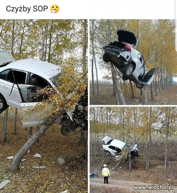 Tyle w temacie