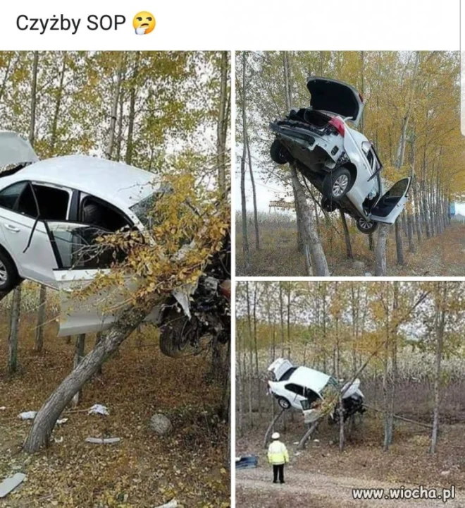 Tyle w temacie