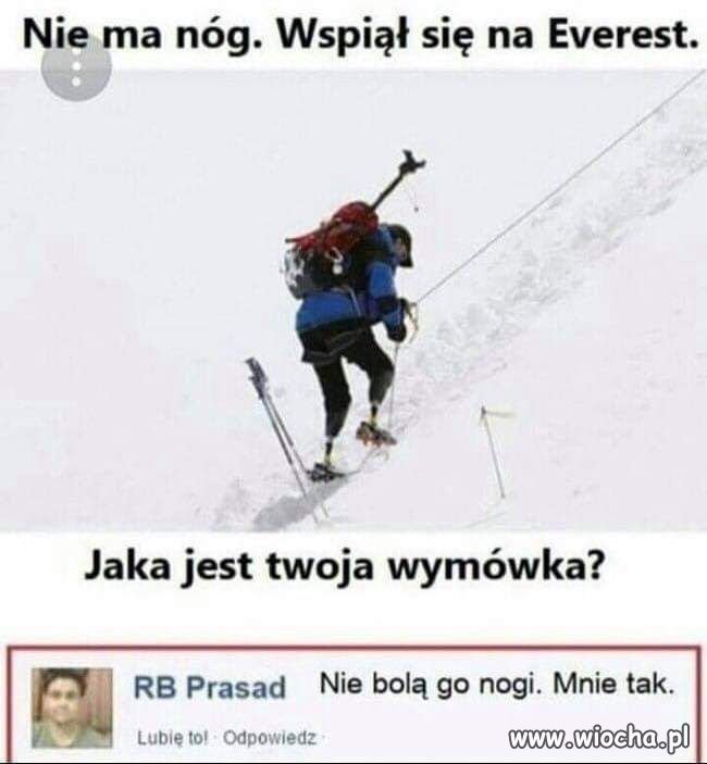 Wymówka 