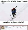 Wymówka 