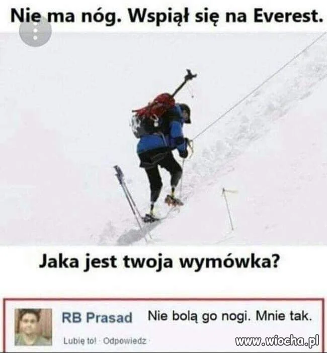 Wymówka 