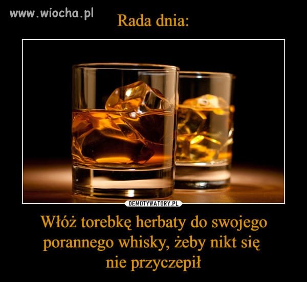 Picie Rumu z rana nie czyni Cię alkoholikiem