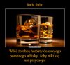 Picie Rumu z rana nie czyni Cię alkoholikiem