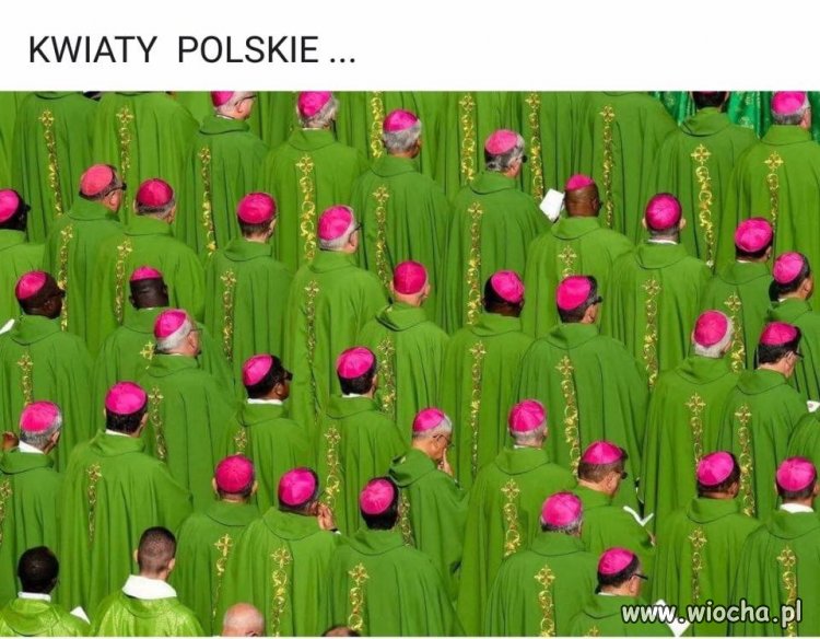 Ładne kwiatki 