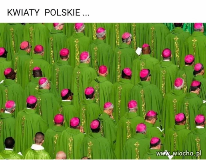 Ładne kwiatki 