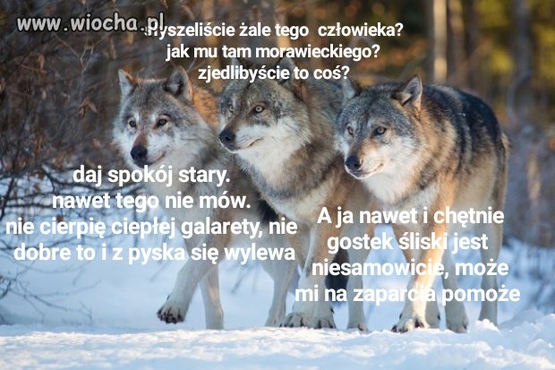Temat morawieckiego...