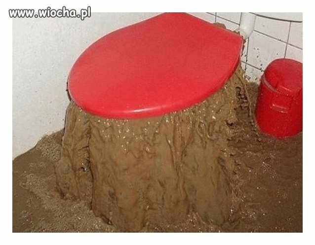 Kibel się zapchał