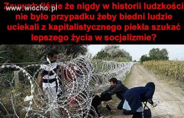 Bardzo celna