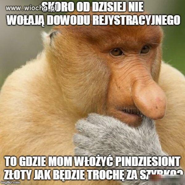 Jakie to życiowe