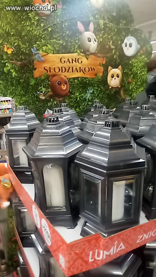 No mamy prawdziwe słodziaki