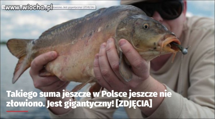 Sum gigant w/g gazety S.e.