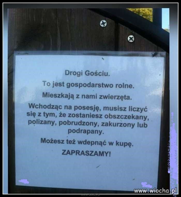Zaproszenie